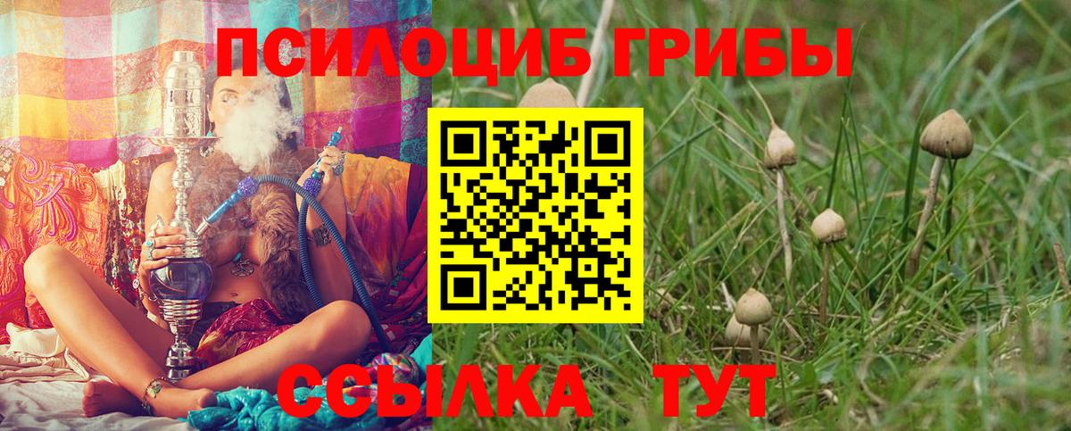 Галлюциногенные грибы Magic Shrooms Ефремов
