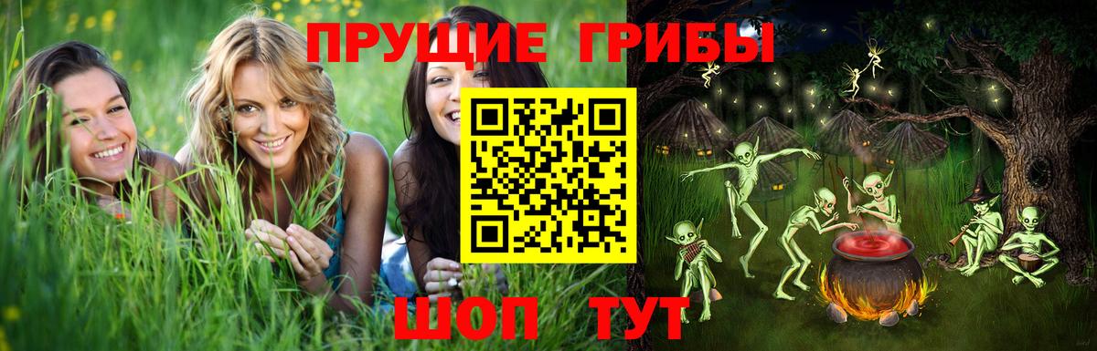 Галлюциногенные грибы Psilocybine cubensis  Вход с VPN  Ефремов  Псилоцибиновые грибы GOLDEN TEACHER 